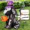 5.5 FT Tall Halloween Inflatables with Built-in LED Outdoor Decorations